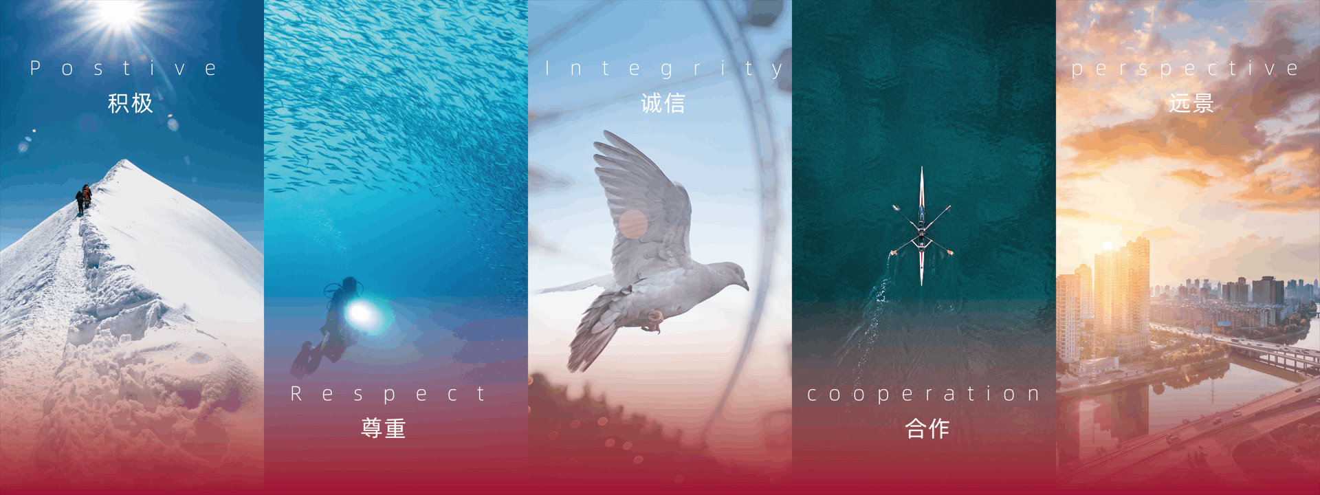 積極，尊重，誠(chéng)信，合作，遠(yuǎn)景