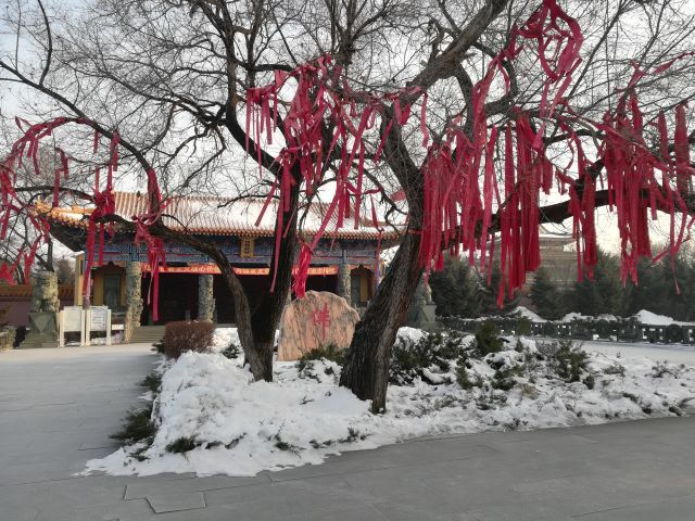 26 黑龍江省大慶市華辰建筑工程有限公司換熱站設(shè)備采購-果成寺站1 - 艾克森換熱器案例圖片