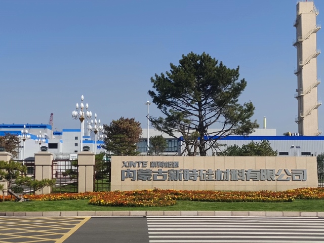 22 內(nèi)蒙古新特硅材料有限公司 (4) - 艾克森換熱器案例圖片