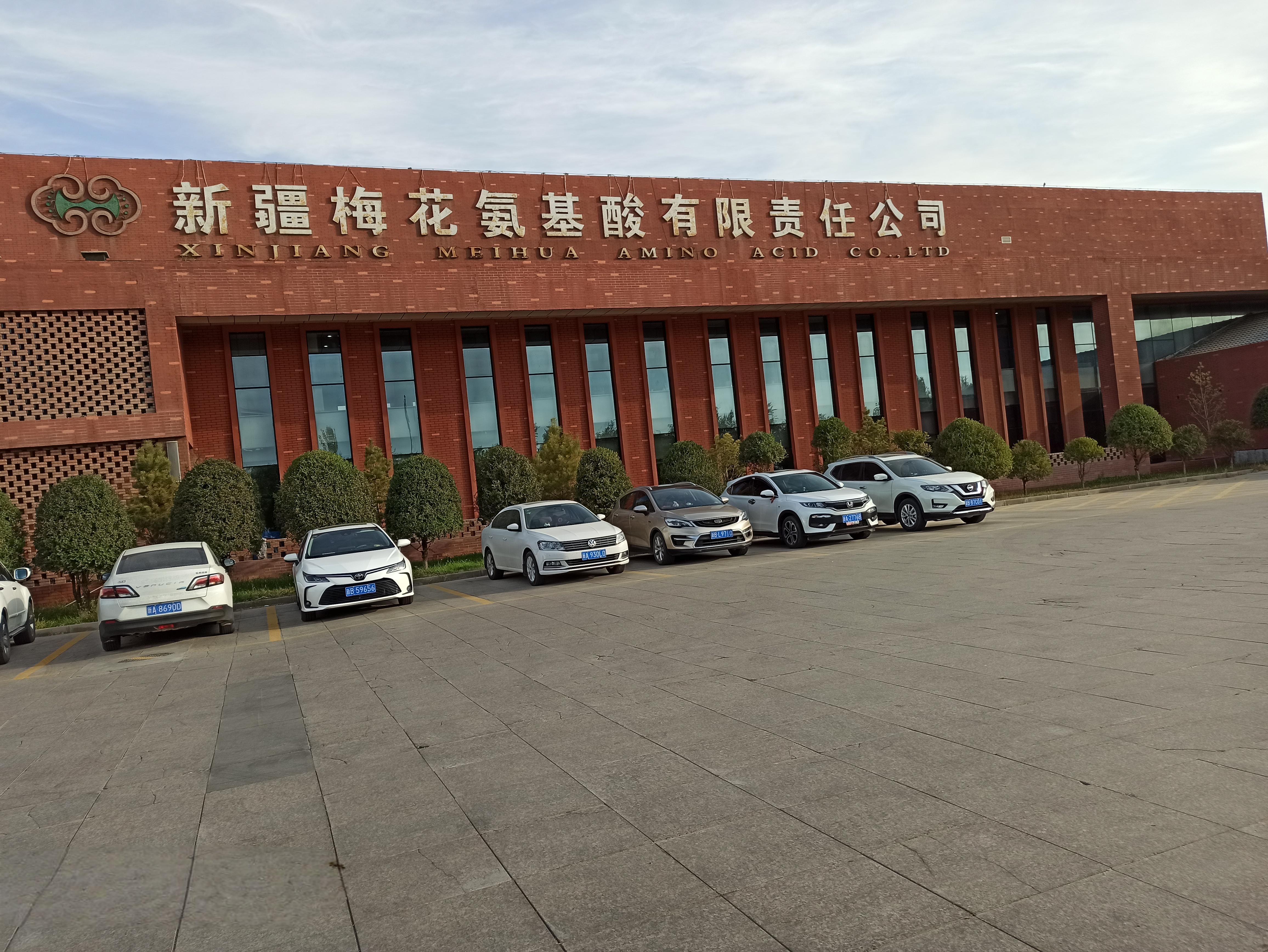 R . 新疆梅花氨基酸-1 - 艾克森換熱器案例圖片