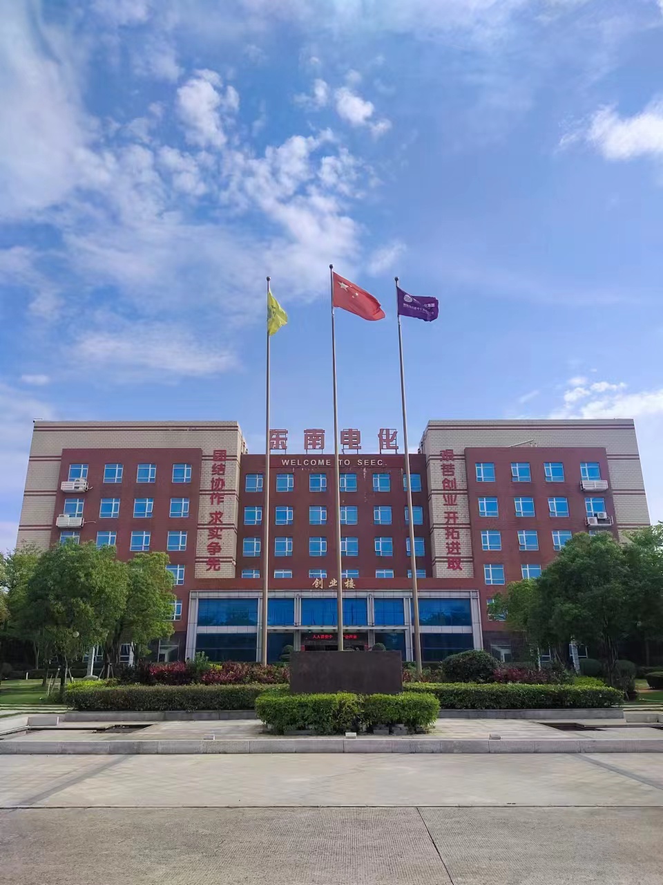 P . 福建東南電化 - 艾克森換熱器案例圖片